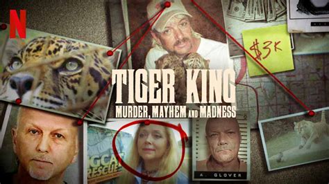 tiger king primewire|Tiger King: Murder, Mayhem and Madness .